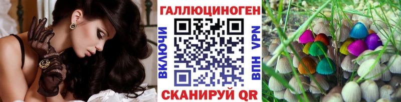 где купить наркоту  Киров  Галлюциногенные грибы мицелий 