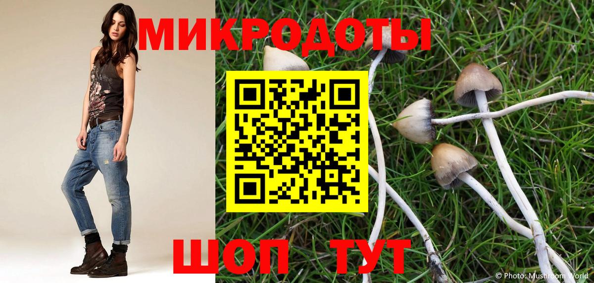 закладки  Киров  Псилоцибиновые грибы ЛСД 
