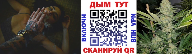 купить наркотики цена  Киров  Канабис тримм 